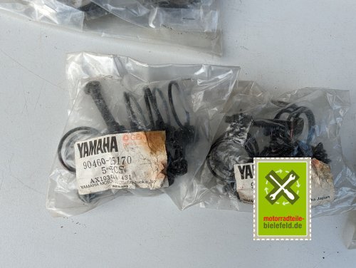 PXL_20240528_161645703